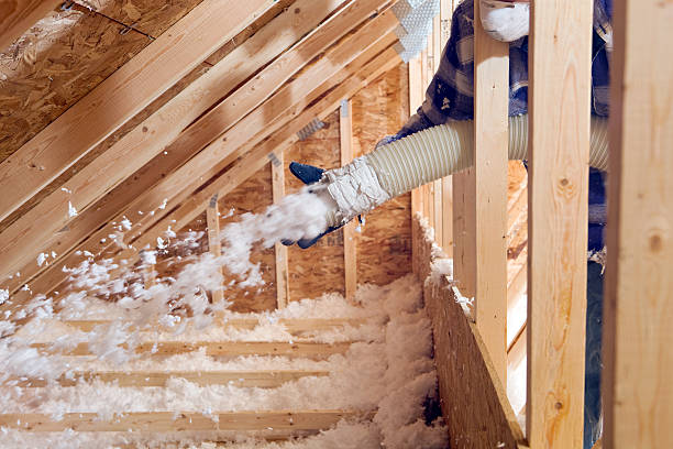 Best Spray Foam Insulation  in Rancho San Diego, CA